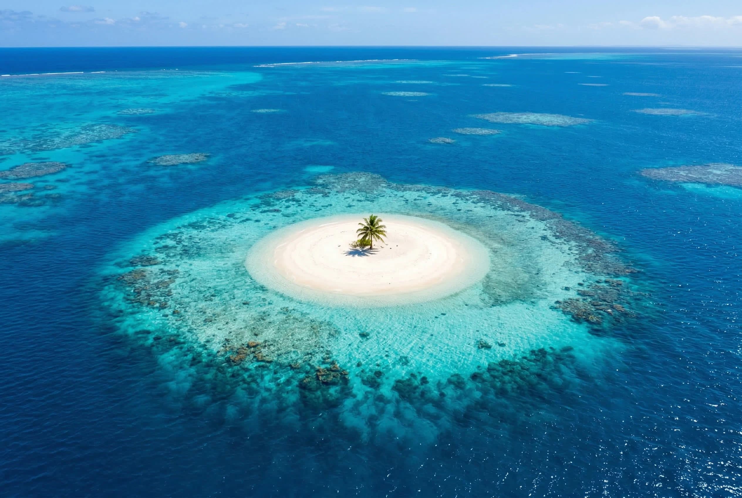 Coral Cay Plunge